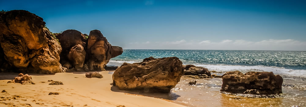 Coastline at the Pacific Trails Resort