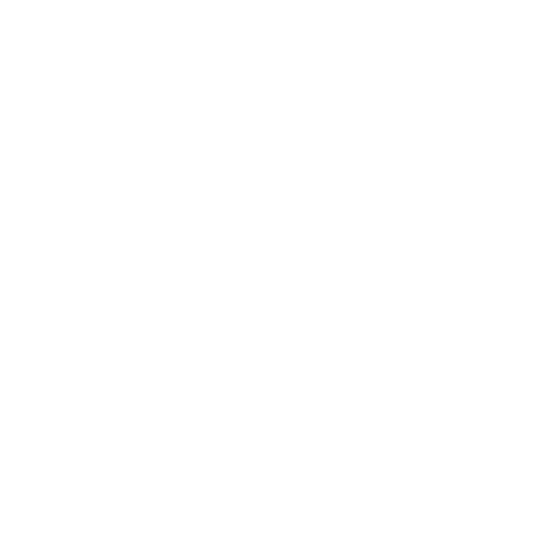 MTB LV Logo